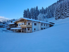 Luxurious Apartment in Kaltenbach near Ski Area Kaltenbach